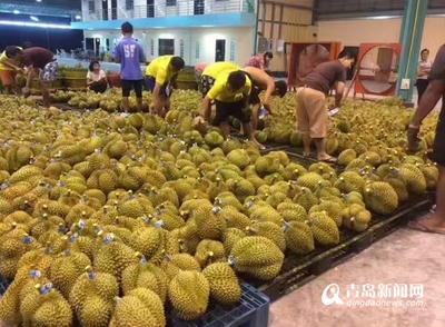 青岛五月榴莲热卖 价格亲民引爆消费热潮