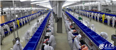 回眸40年 7万福集团——从县级冷藏厂到中国肉类行业50强的华丽蜕变